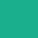 STAHLS' CAD-CUT SportsFilm – Mynte – Mint – 419 STAHLS' CAD-CUT SportsFilm – Mynte – Mint – 419