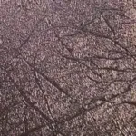 SkilPro SUPERIOR 9500 Textured Metallic 9502 Rose Gold Mini Rolls