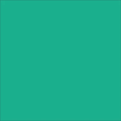 STAHLS' Premium Plus – Mynte – Mint – 419 STAHLS' CAD-CUT Premium Plus – Mynte – Mint – 419