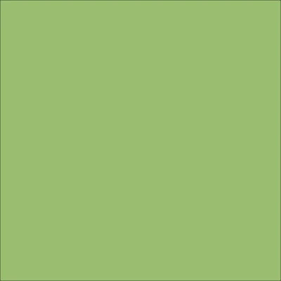 STAHLS' CAD-CUT Premium Plus - Pastellgr&oslash;nn - Pastel Green - 420