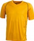 JAMES &amp; NICHOLSON TEAM SHIRT