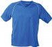JAMES &amp; NICHOLSON TEAM SHIRT